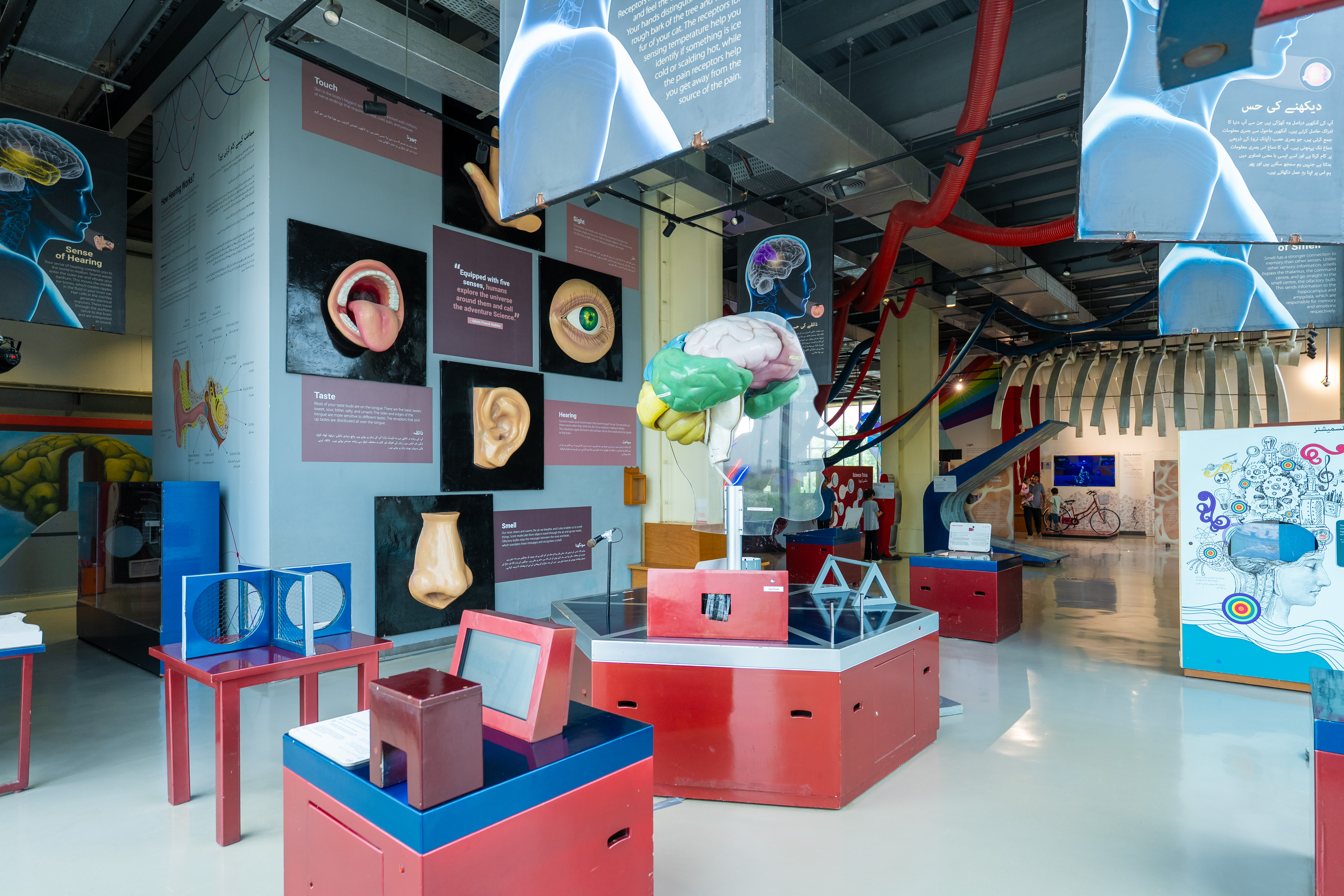 TDF MagnifiScience Centre
